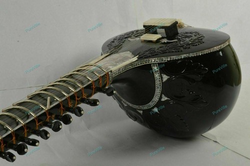Sitar professionale per corde