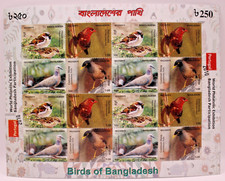 Bangladesh 2010 Esposizione