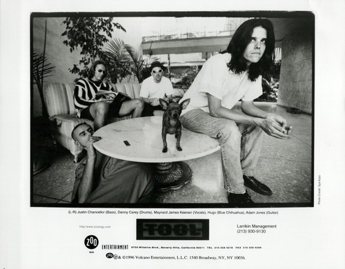 Tool band 1996 - tool, gelatina
