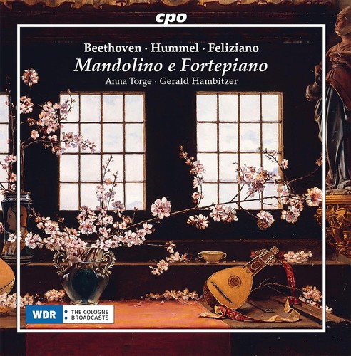 Mandolino fortepiano - mandolino, e