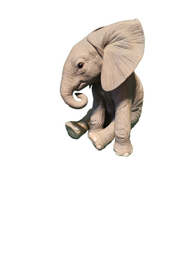 Lenox smithsonian elefante - smithsonian,