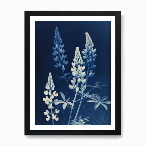 Stampa artistica tempo - , di
