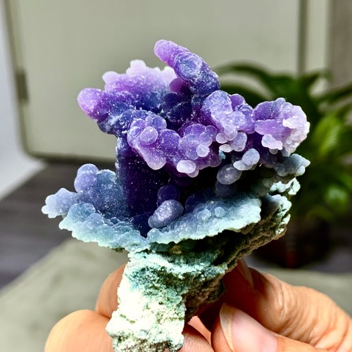 52g agata uva viola naturale - 52g, d'uva