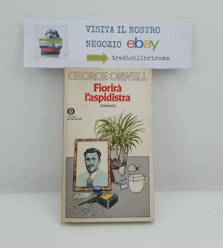 Fiorirà aspidistra george - fiorirà,