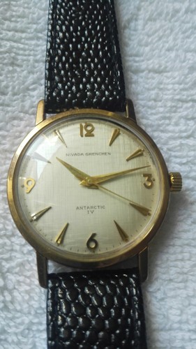 Nivada croton grenchen - croton,
