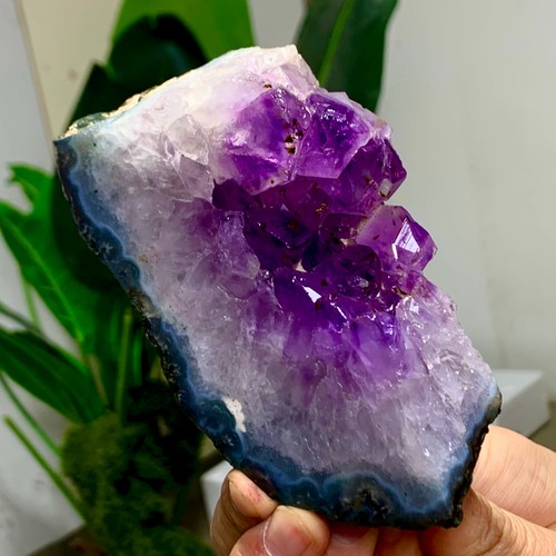 406g ametista naturale geode - naturale,
