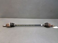 Cardano Anteriore Destro -