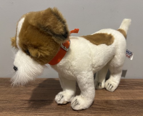 Hansa jack russell - jack,
