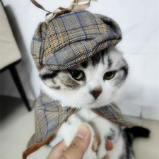 Affascinante Pet Sherlock