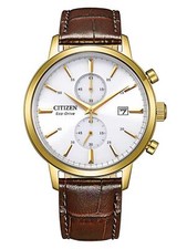 Orologio Uomo Citizen