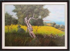 paesaggio toscano ulivo mare