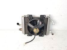 Radiatore Completo di