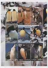 Pinguino uccellino acquatico