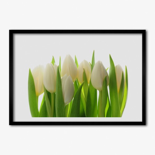 Tulup picture mdf framed - tulup,