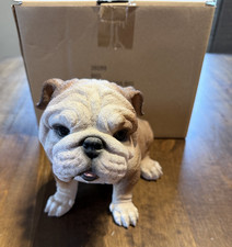 Simpatico Bulldog inglese