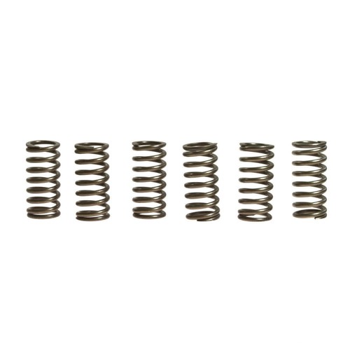 Molle frizione ebc rinf 10 - 6, +10