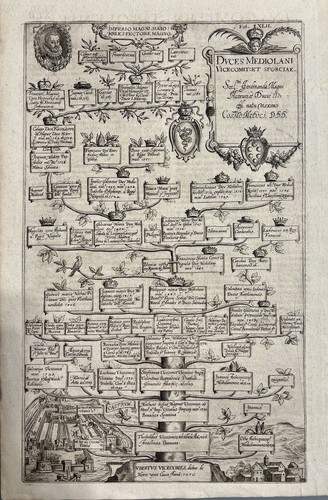 Albrizzi albero - albrizzi,