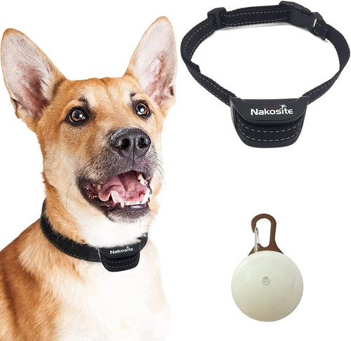 Pet2433 miglior collare per - pet2433,