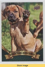 2018 Upper Deck Canine