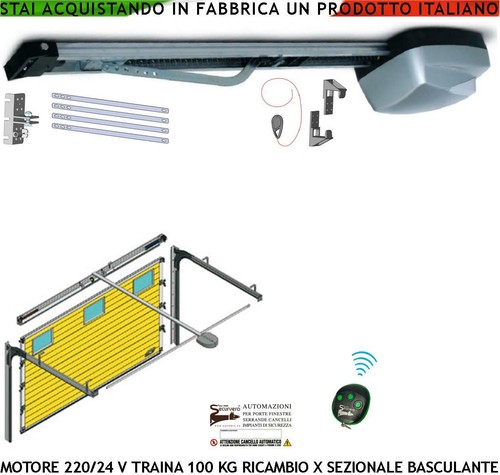 Porta sezionale basculante - porta,