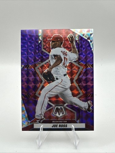 Mosaico panini 2022 joe ross - joe,