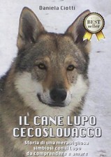 Il cane lupo cecoslovacco