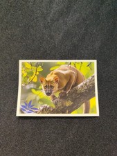 Noi Animali L’unione Fa La