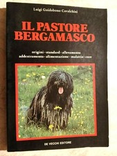 Guidobono / Cavalchini IL