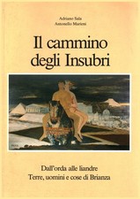 Il cammino degli Insubri -