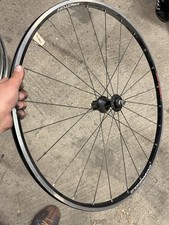 Ruota posteriore Campagnolo