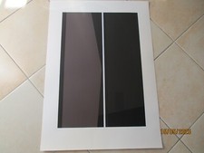 CARLA BADIALI SERIGRAFIA