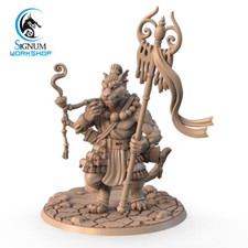 Vastar Fighter / Sciamano -