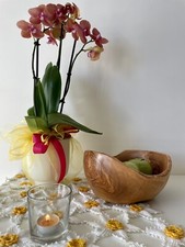 CI06 Ciotola  In Legno Di