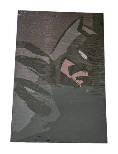 Absolute batman year one - year,