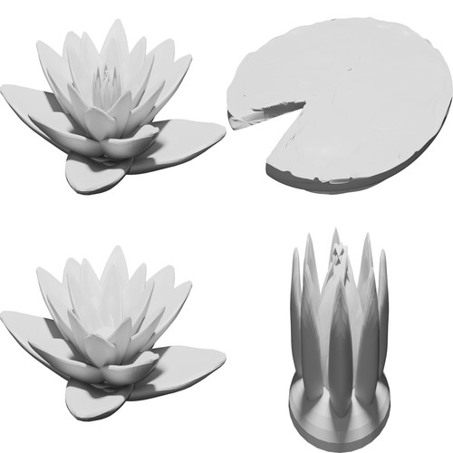 Fiore loto ninfea - fiore, di