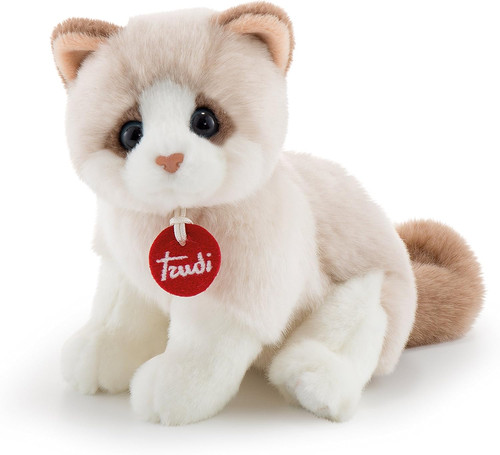 Gattino brad bianco - gattino, bianco/beige