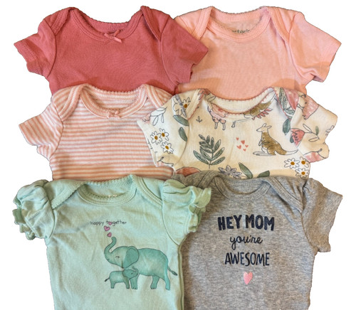 Lotto vestiti carter bambina