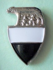 DISTINTIVO SPILLA PIN BADGE