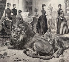 ORIGINALE ARTE antico