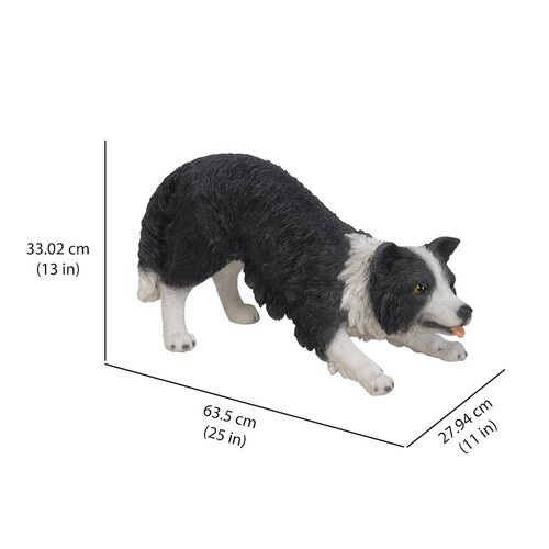 Dog border collie - dog-border,