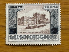 ITALIA (post 1945 ?)  -ERINNOFILI-  Terme di Salsomaggiore  - Nuovo con VARIETA'