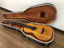 Acoustic Guitar Martin & Co