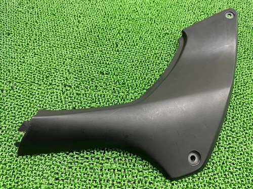 Coperchio lato destro - , honda