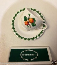 Tazza Caffè - Espresso Cup - Portmeirion - Pomona