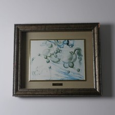 Litografia Su Tela Numerata Certificata Salvador Dali