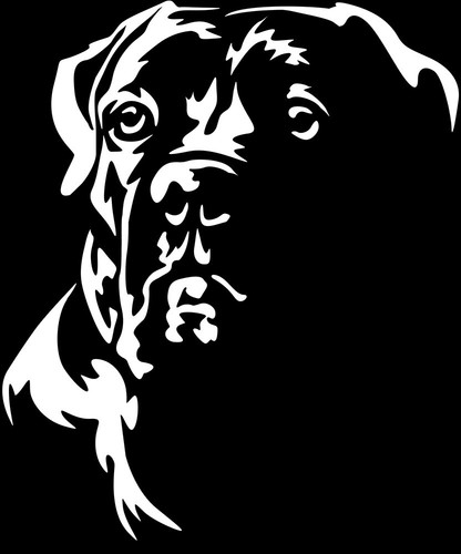 Adesivo cane corso - cane,