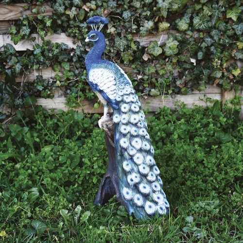 Pavone ramo decorativo in - decorativo,