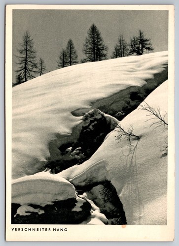 Cartolina pendio innevato - ,