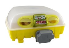 Incubatrice Uova 49 Automatica