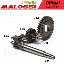 MALOSSI 677021 INGRANAGGI